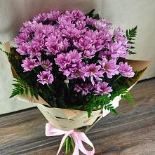 Букет цветов из:  Хризантемы #REPLACE_PRED# Лесной