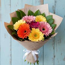 Букет цветов из:  Герберы #REPLACE_PRED# Лесной