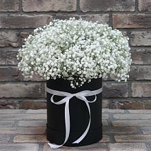 Цветочная композиция из Гипсофила в шляпной коробке в Лесной